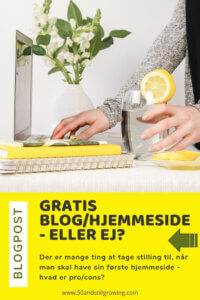 Gratis hjemmeside - eller ej?