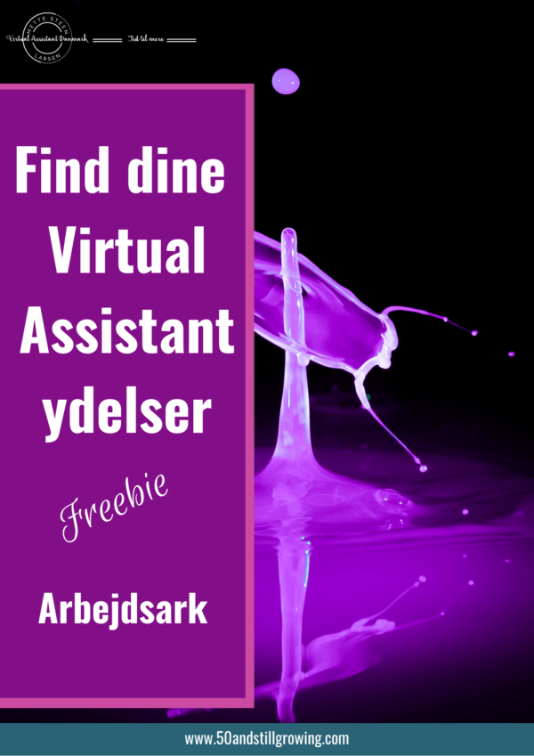 Find dine Virtual Assistant Ydelser