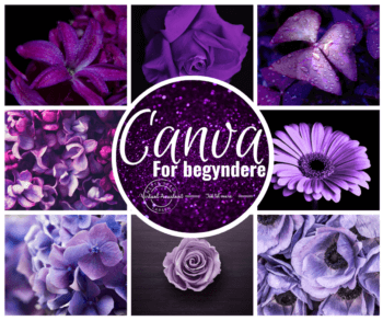 Canva - For Begyndere. Skab dit eget design