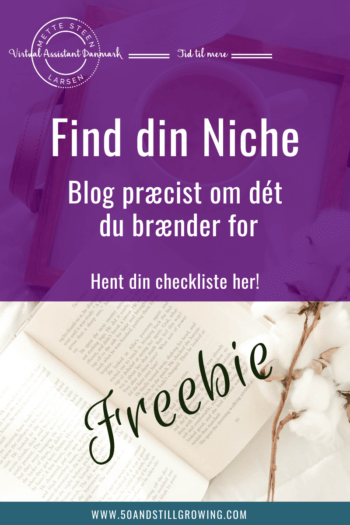 Freebie, Find din Niche, Checkliste